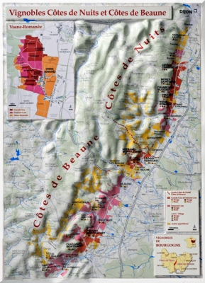 Côte de Beaune & Côtes de Nuits